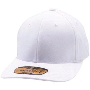 The 6-Panel Baseball Cap